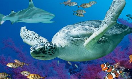 Weymouth SEA LIFE Adventure Park