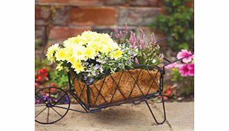 Wheelbarrow Planter