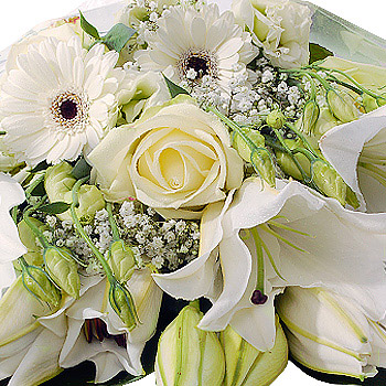 White Gift Wrap International - flowers