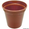 Whitefurze Pot Terracotta 7.5cm