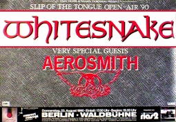 Slip of The Tongue Tour 1990 Music Poster