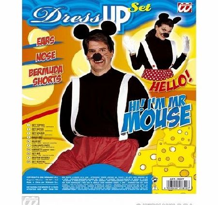 WIDMANN Mouse Dress Up Set 2 Styles Accessory for Disney Fairytale Fancy Dress