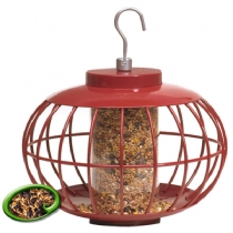 Nuttery Squirrel and Predator Proof Chinese