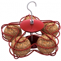 The Nuttery Daisy Fat Ball Feeder Single