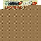 Wildlife World Ladybird Food / Attractant