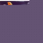 Wildlife World Wildlife Box Camera Kit