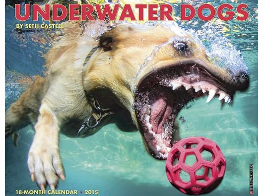 Willow Creek Press Underwater Dogs Calendar