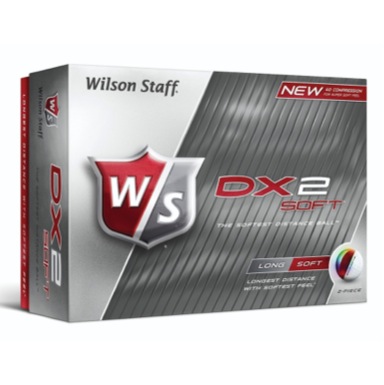 Wilson DX2 Soft Golf Balls White