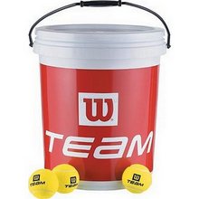 Wilson Team W Trainer