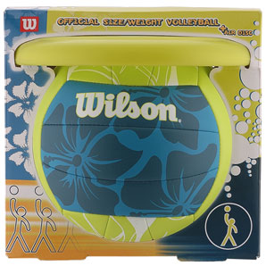 Wilson Volleyball and Air Disk Pack