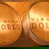 Winery Tour of Freixenet Cavas Gray Line - Mexico City Winery Tour of Freixenet