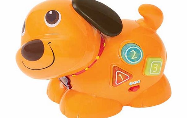 WinFun Chase n Giggle Puppy