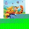 Winnie the Pooh and Friends Canvas
