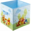 the Pooh and Tigger Storage Box