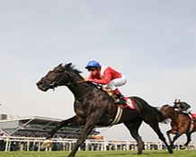 winning Horse Racing Day Experience Voucher -