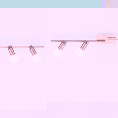 Don Nickel Matt Ceiling Light with 4 Spots