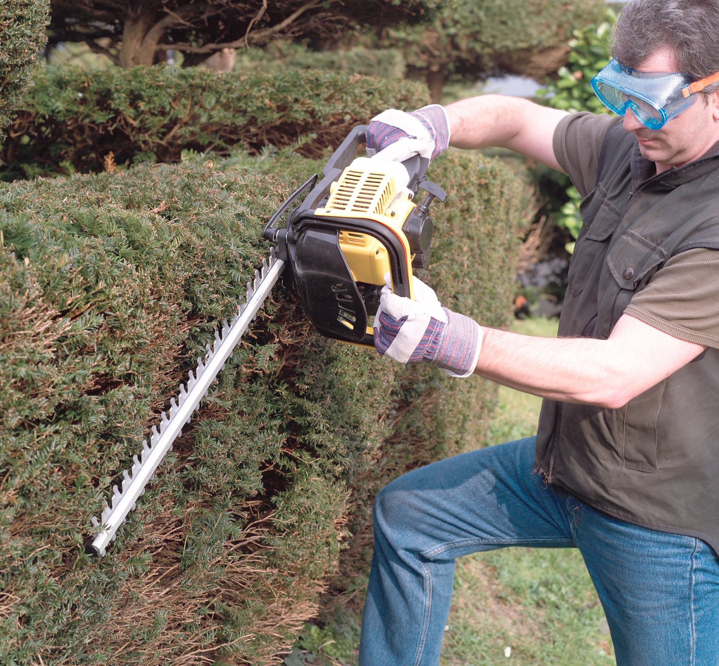 Wolf Petrol Hedge Trimmer