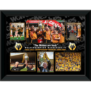 Wolves Championship Winners Montage (16x12`)
