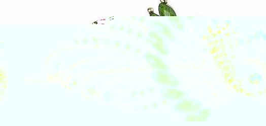 TM) Lovely Vintage Jewelry Crystal Butterfly Hairpins Hair Stick Hair Beauty Tools-Green With Womdee Accessory Necklace