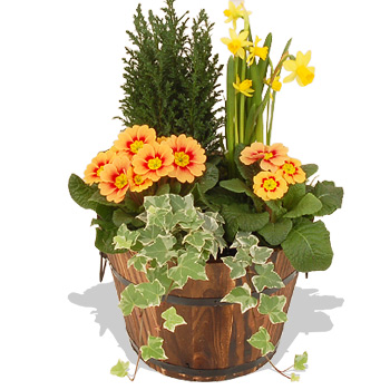 Wooden Barrel - flowers