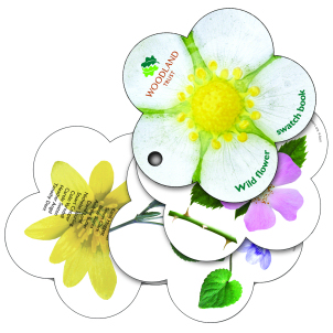 Woodland Trust Wild Flower Swatch Books