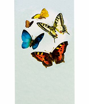 Woodmansterne Butterfly Greeting Card