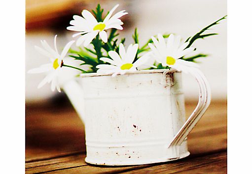 Woodmansterne Daisies In Watering Can Thank You
