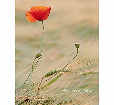 Woodmansterne Poppy In Field Sympathy Card