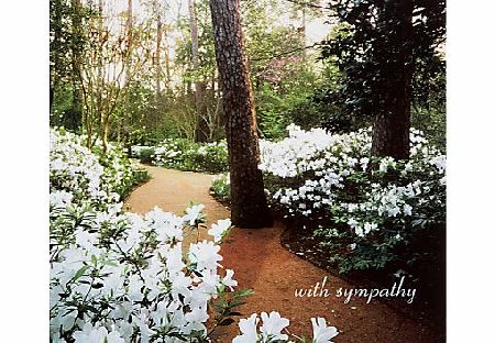 Woodmansterne Woodland With Flowers Sympathy