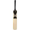WOODWORM Bronze Hard Drive Junior Cricket Bat