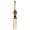 WOODWORM Bronze Mega Bite Junior Cricket Bat