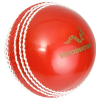 woodworm Freddie Flintoff Cricket Ball.