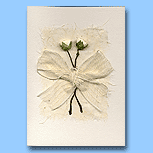 Woozle Designs Handmade Cream Flowers