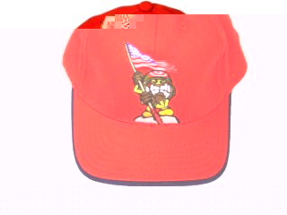 World Industries Trooper Cap