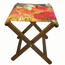 Wow Factor Hardwood Stool