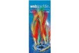 WSB Tackle Mackerel Feathers 12 Hook - Coloured