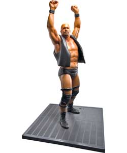 wwe Collector Figure Steve Austin