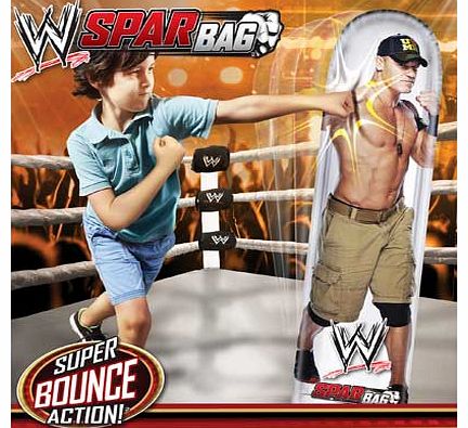 WWE Smack Down Punch Bag