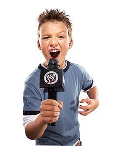 WWE Superstar Microphone