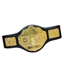 WWE Title Belt