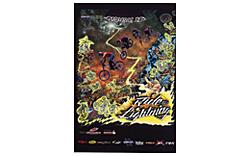 New World Disorder 4 DVD