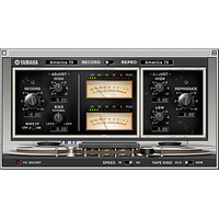 Yamaha AE021 Master Strip