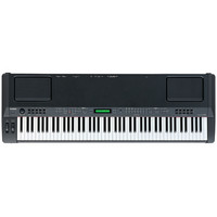 CP300 Stage Piano