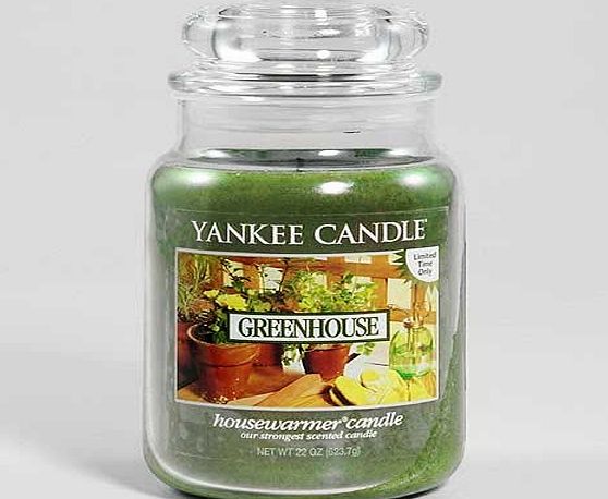 Yankee Candle Greenhouse Large Jar Candle - Yankee Candle
