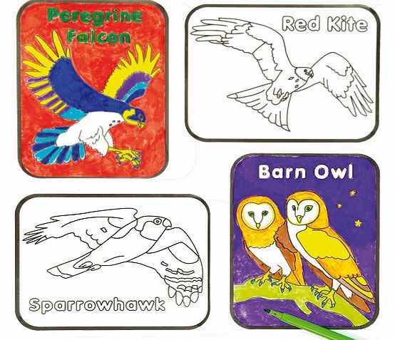 Yellow Moon Birds of Prey Colour-in Window Decorations -