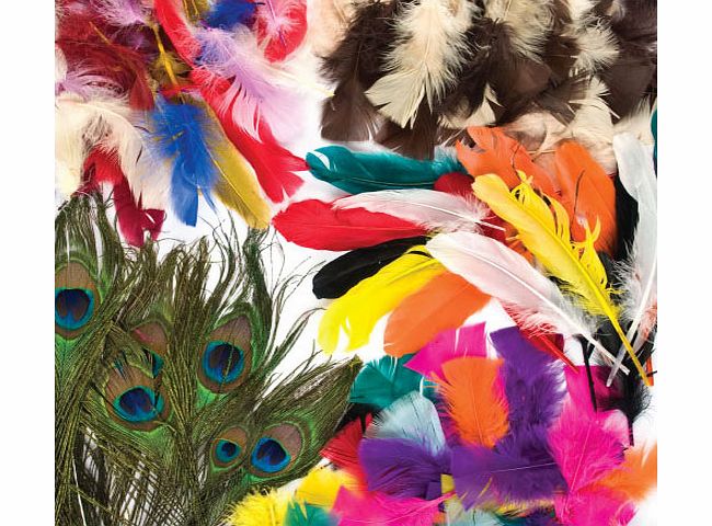Yellow Moon Feathers Value Classpack - Pack of 1000