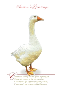 Yoodoo Goose
