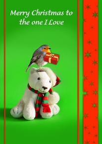Yoodoo Teddy Bird Christmas