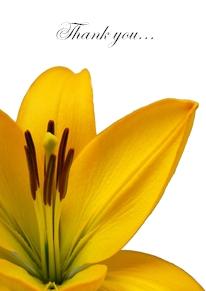 Yoodoo Yellow flower