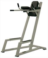 York Fitness York Dip/Vkr